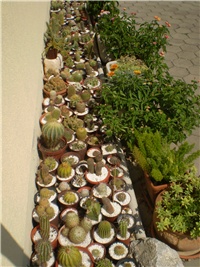 650dd3ed-Picture 6380.jpg